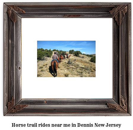 horse trail rides near me in Dennis, New Jersey